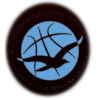 https://img.szgdpcb.cn/img/basketball/team/1a45d903dafdcc026ec9809d9916a681.png