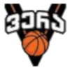 https://img.szgdpcb.cn/img/basketball/team/ab83d99c4b224434a81d14fc9e1b5949.png